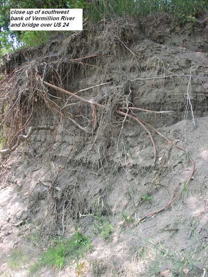 Eroded bank of stream with tree and shrub roots