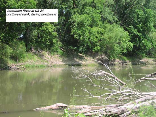 View of creek; white dead tree trunks and branches in water