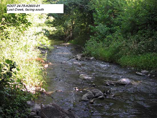 photo from stream level shows pipeline and railroad briodge in distance; much brush and tree cover
