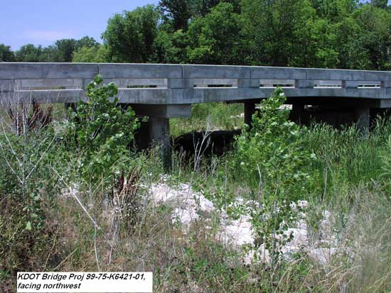 view of shallow bridge over creek