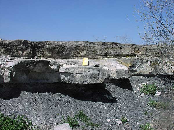 Gray limestone, massive in bed 3-4 ft thick (notebook for scale); shale and gravel below bed; bright blue sky.