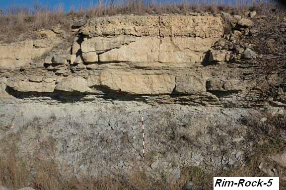 Massive tan limestone, rubbly at right and broken (fault?) at left; lower part is grayer, thin beeded or shaly.
