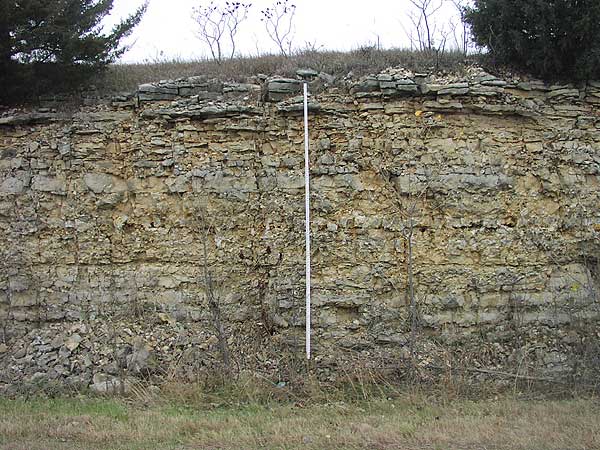 Outcrop of tan limestone and chert, at least 15 ft thick at center, more massive and thick bedded at bottom.