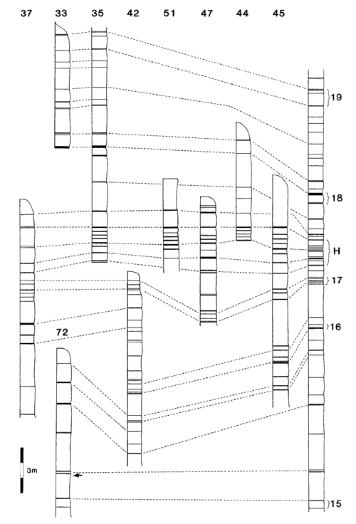Several stratigraphic sections plotted