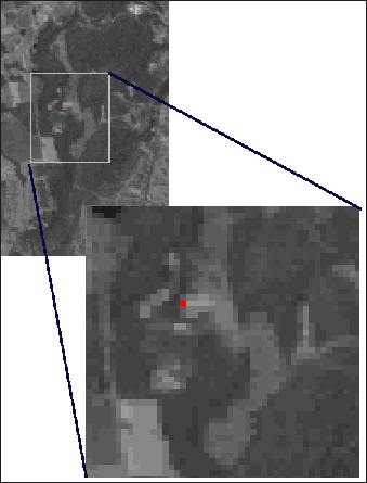 Landsat image