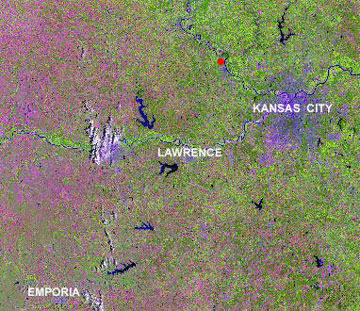 Landsat composite browse image