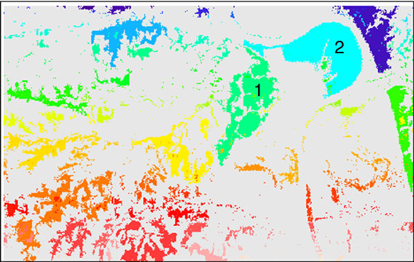 cluster image of study forests