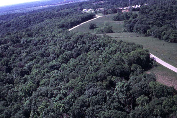 aerial photo of upland study forest