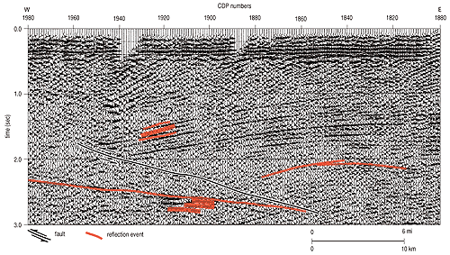 detail of seismic section with reflection events highlighted