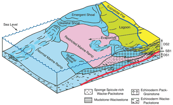 carbonate environments