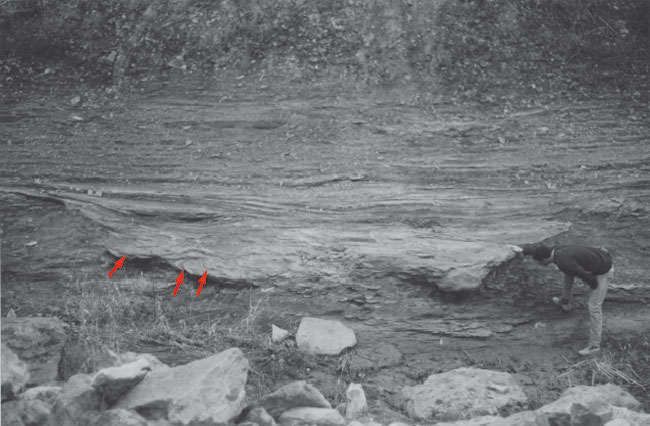 Black and white photo showing channel form (highlighted in red).