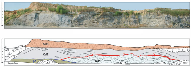 Color photo and interpreted drawing of outcrop in cement quarry.