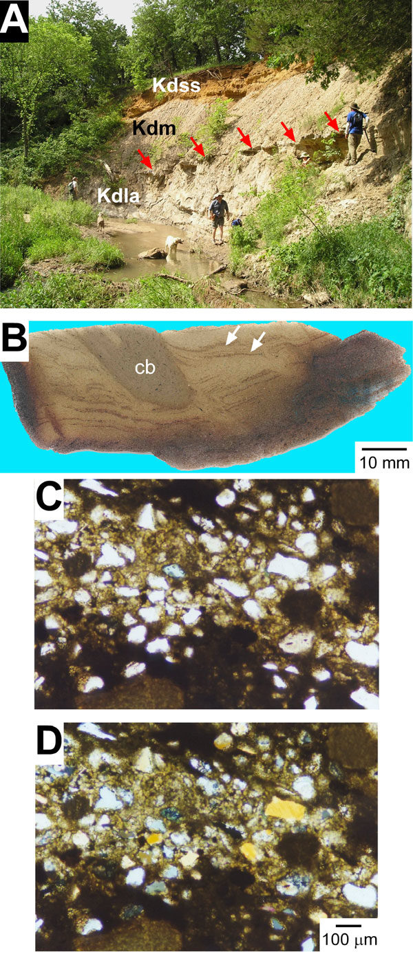 Color photo of outcrop along Long Creek, thin-section of siderite-cemented ironstone; and two photomicrographs.