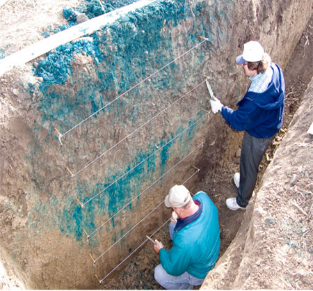 Photo shows two researchers in trench examining dye patterns in soil.