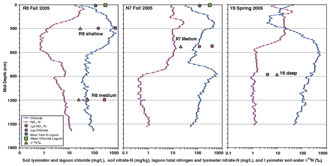 Chloride and NO3-N plotted vs. depth for three sites.