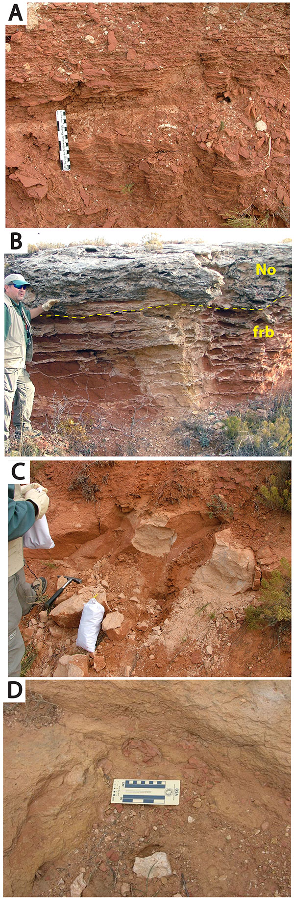 Four color photos. A is fissile red beds facies, B is calcrete development at unconformable contact, C is collection of POR 4-1 sample, D is red mudstone rip-up clasts.