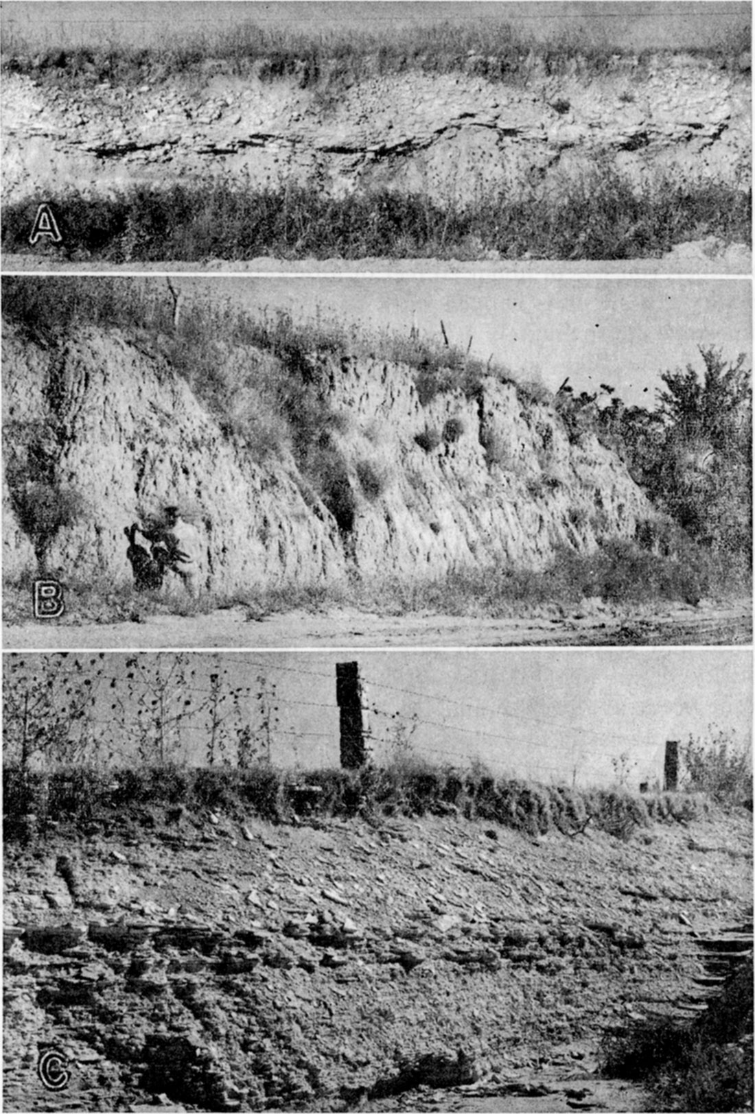 Three black and white photos; algal limestone in road cut; silt of the Sanborn formation; Lincoln limestone member of Greenhorn limestone.