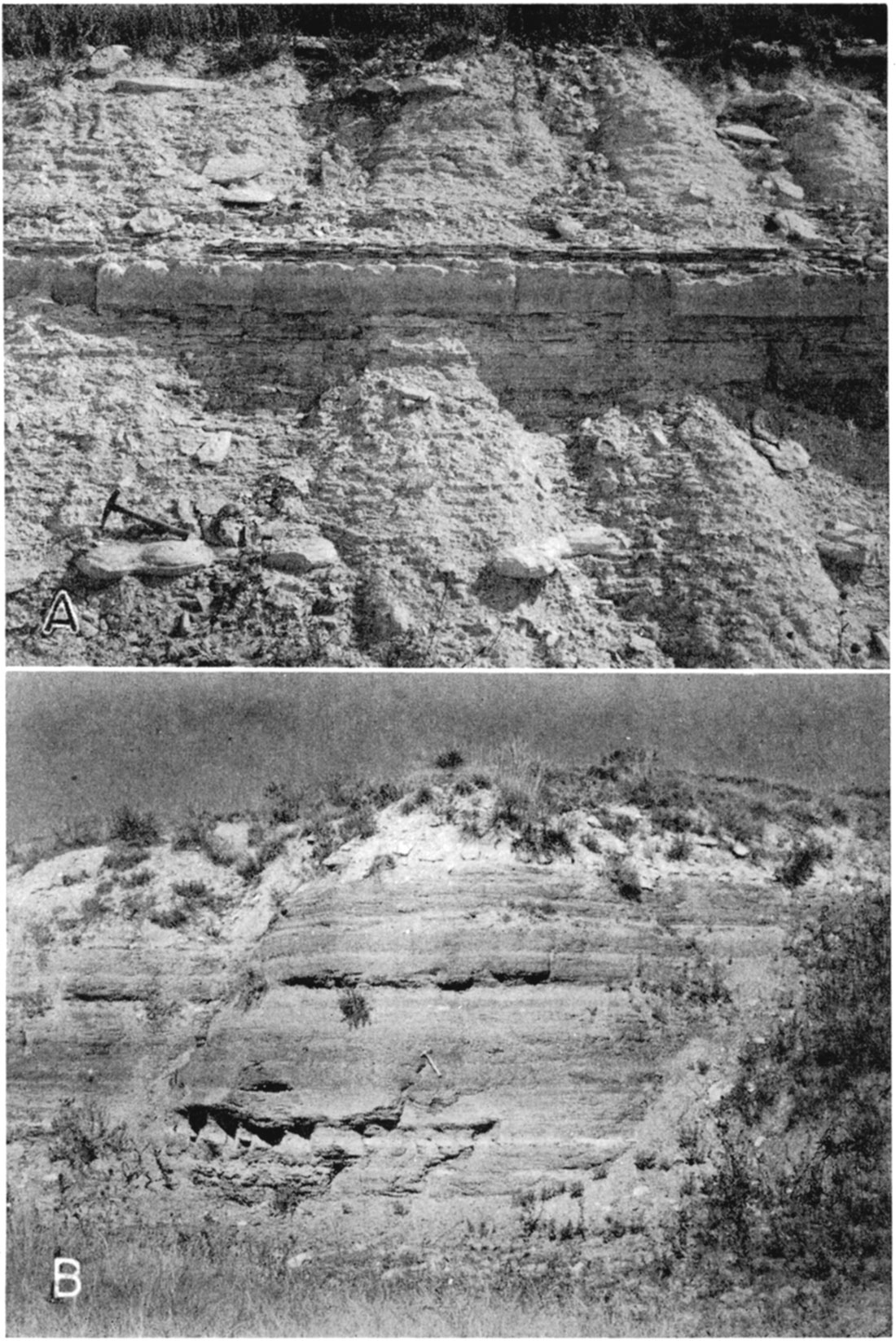 Two black and white photos; contact of the Fairport chalky shale member of the Carlile shale and the Pfeifer shale member of the Greenhorn limestone; Contact of the Jetmore chalk member and the Hartland shale member of the Greenhorn limestone.
