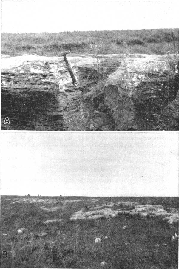 Black and white photos; top photo is thick limestone bed, darker color at bottom, lighter at top, highly eroded vertical joint between blocks; larrge stones on side of gentle hill down from outcrop.