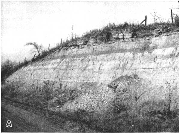 Black and white photo; 8- to 12-foot roadcut into hill; top is resistant, blocky bed, below is steep with hint of beds based on grays.