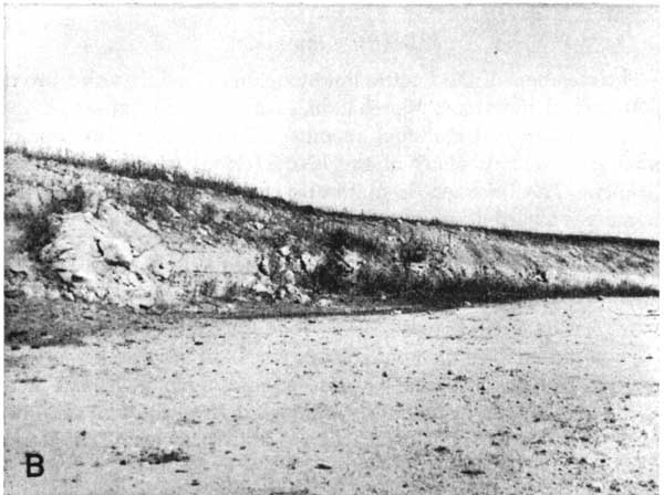 Black and white photo; flat, smooth floor of quarry with worked face in background, some eroded and brush covered.