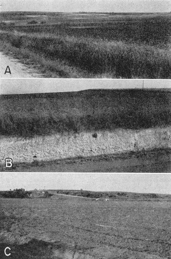 Three black and white photos; top and bottom are of cultivated fields, low hills in background; middle photo is of white outcrop, several feet thick, wtith darker soil above.
