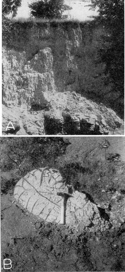 Two black and white photos; white loess, looks crumbly, vertical exosure that is highly erodeable; lower photo is white oval concretion in dark surroundings, rock hammer for scale.