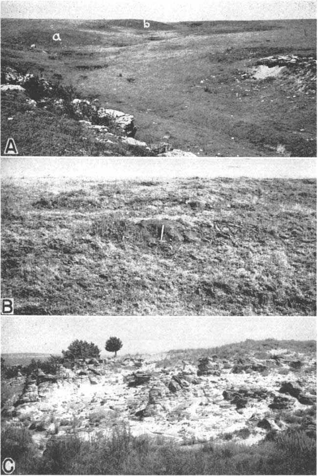 Three black and white photos; top is of shallow arroyo, blocky outcrops in forground; middle photo is of dark colored sandstone with much grass, rock hammer for scale; lower photo is of badland area, highly eroded hillside with small uneroded pinnacles of more resistant stone.