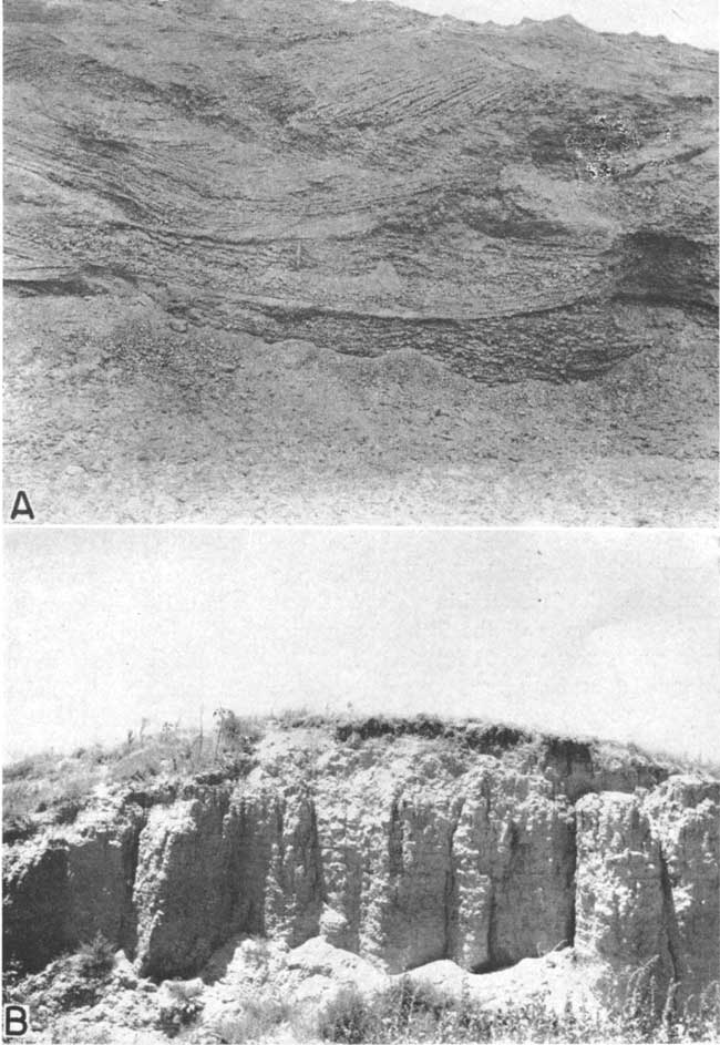 Two black and white photos; top is of closeup of cross-bedded sand and gravel; lower photo is of very light colored bed, very soft looking and easily erodable.