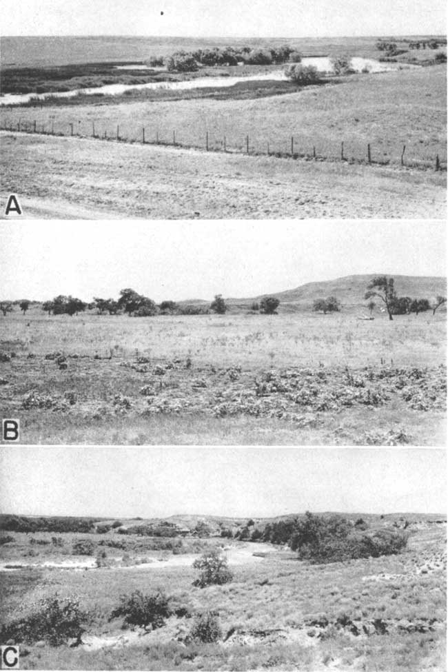 Three black and white photos; top is small pond, grasses in foreground; middle photo has grass-covered plain, trees in middle, hill in background; stream in small valley, steep cliff in background.