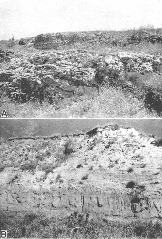 Two black and white photos; top is of very rough, bumpy, concrete-loking outcrop; lower photo is of cliff face, darker, resistant bed at bottom, very loose and sandy looking bed above.