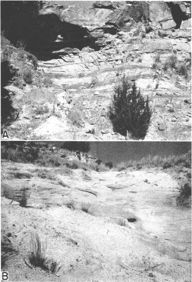 Two black and white photos; top is of sandstone, top of outcrop is massive, lower half has bedding of different colors; lower photo is of smoothly eroded, fine-grained sandstone above conglomerate.