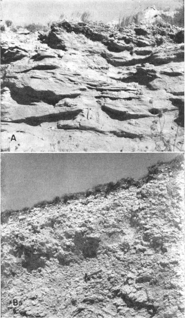 Top photo is of cross-bedded outcrop, rock hammer for scale; bottom photo is of caliche bed, rock hammer for scale.