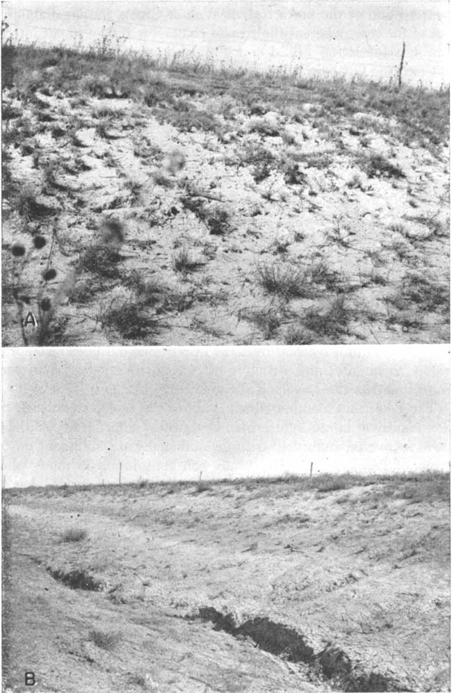 Top photo is of small hillside, some grass cover, faint bedding; bottom photo is of shallow stream, steep gully in bottom of streambed.