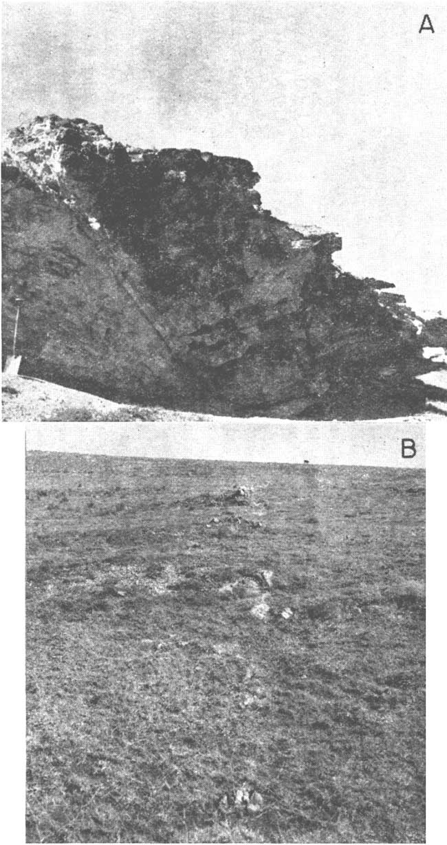 Two black and white photos; top is of outcrop with fault dipping down to right; bottom photo has trace of fault showing as small outcrops, change in surface character, in otherwise flat plain.