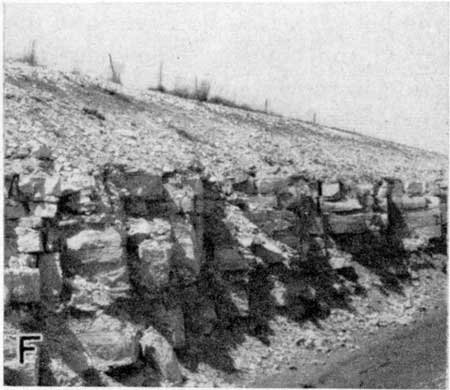 Black and white photo of roadcut, Speiser shale and Funston limestone.