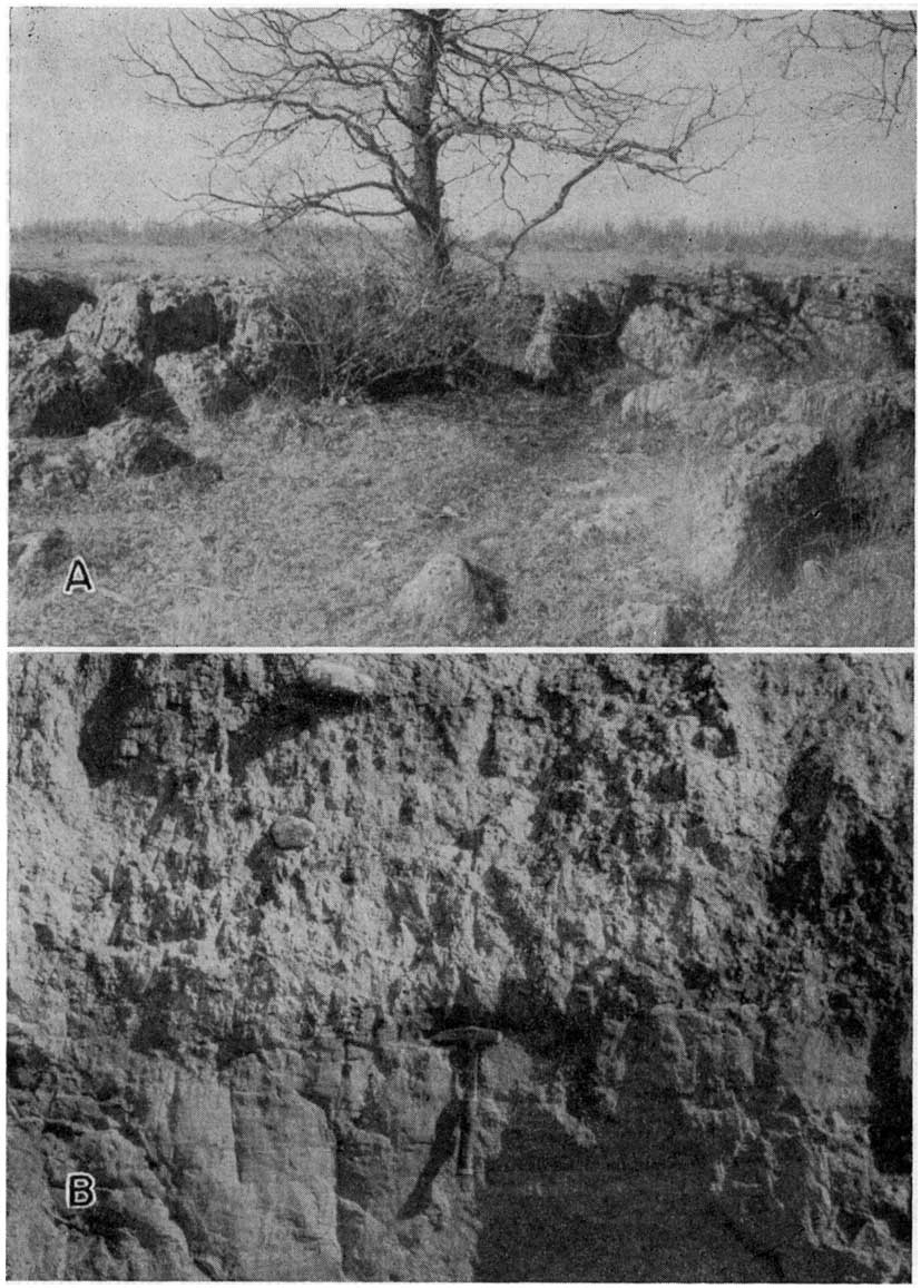 black and white photos of outcrops