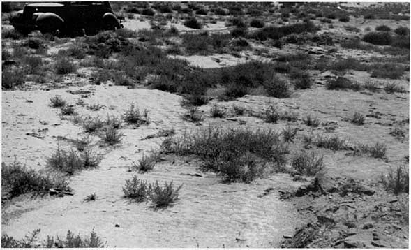 Black and white photo of outcrop, very sandy looking, old car in background.