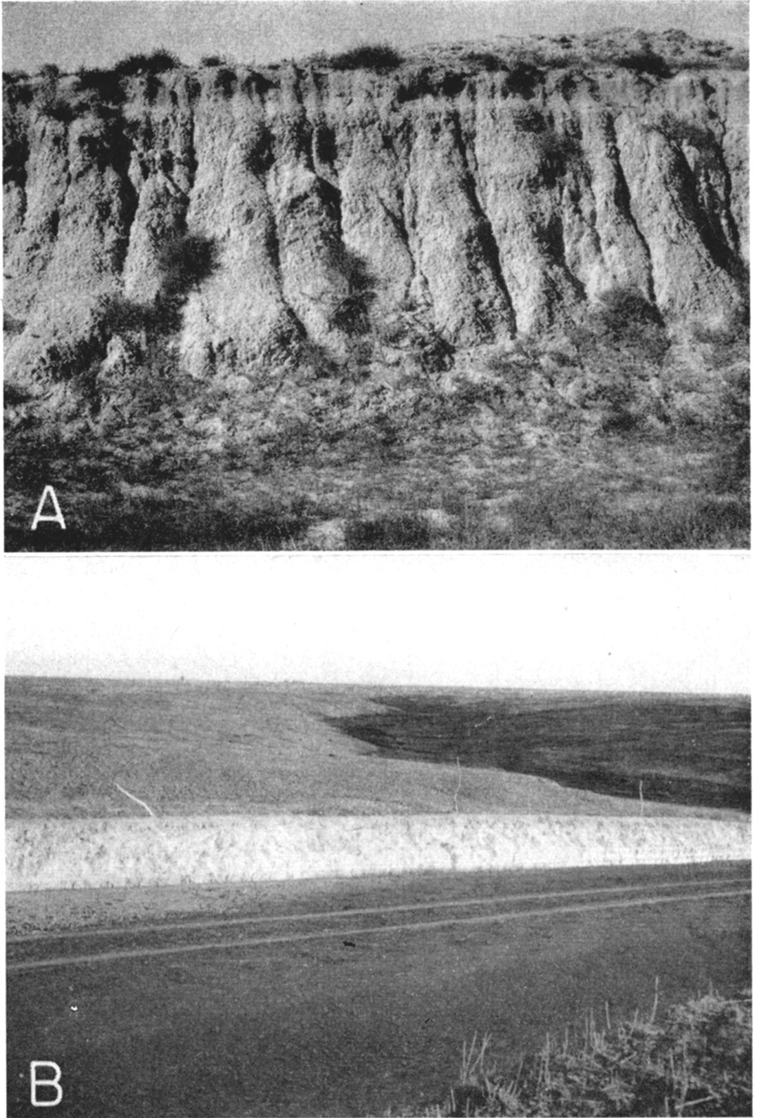 two black and white photos; highly eroded loess in 112-foot outcrop; lower photo is fresher outcrop