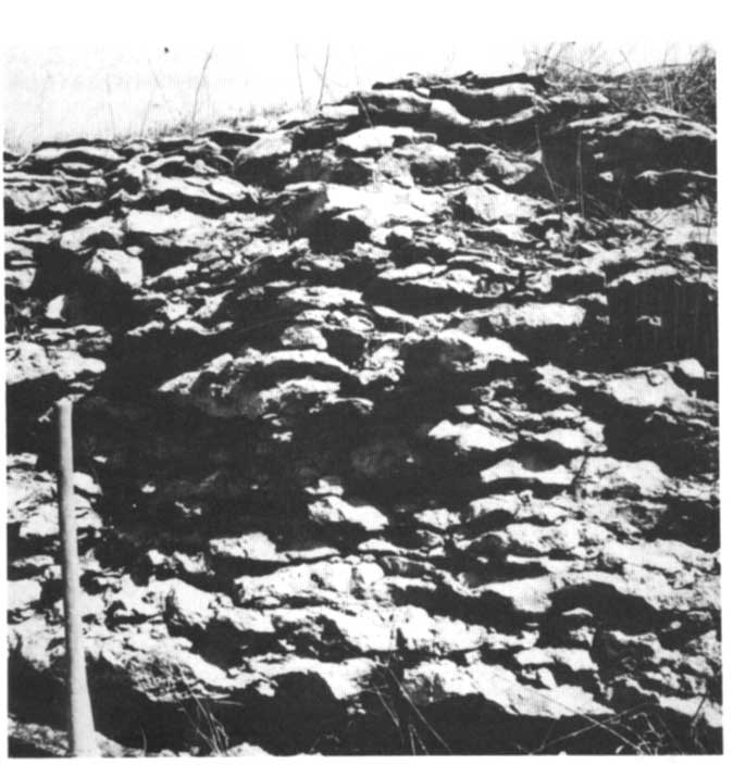 Black and white photo of rock outcrop.