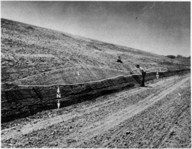 Black and white photo of new roadcut along turnpike construction; basal coal bed 3-4 feet thick, siltstone lens is from 0 to 4 feet thick.