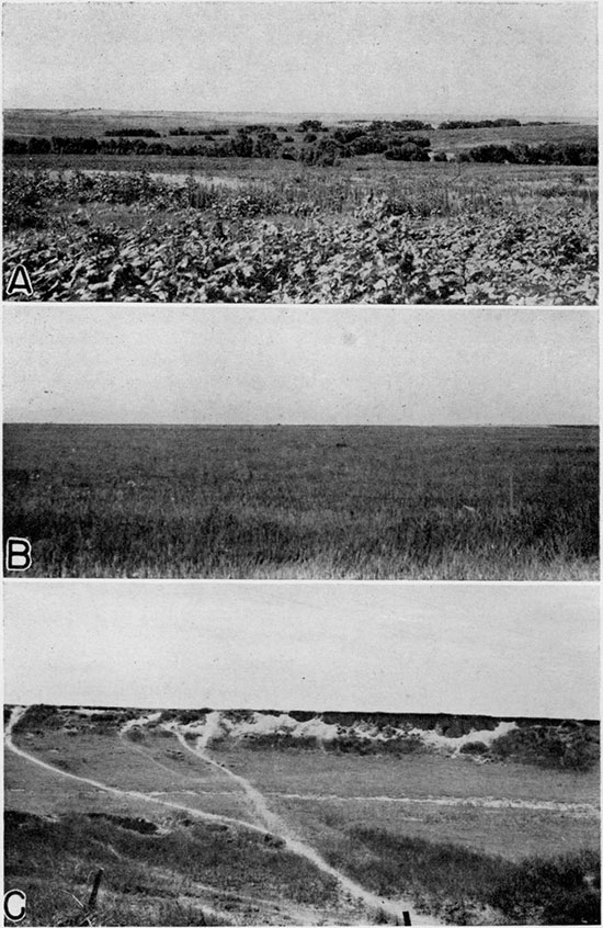 Three black and white photos; top is of valley with trees across a pasture; middle photo is of grassland, very flat landscape; bottom photo is of outcrop of Sappa formation on small hill, cattle paths leading towards it.