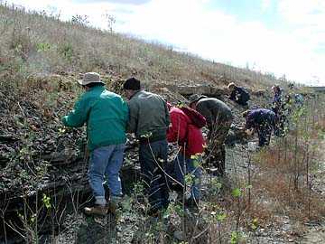 photo of people collecting fossils at final stop