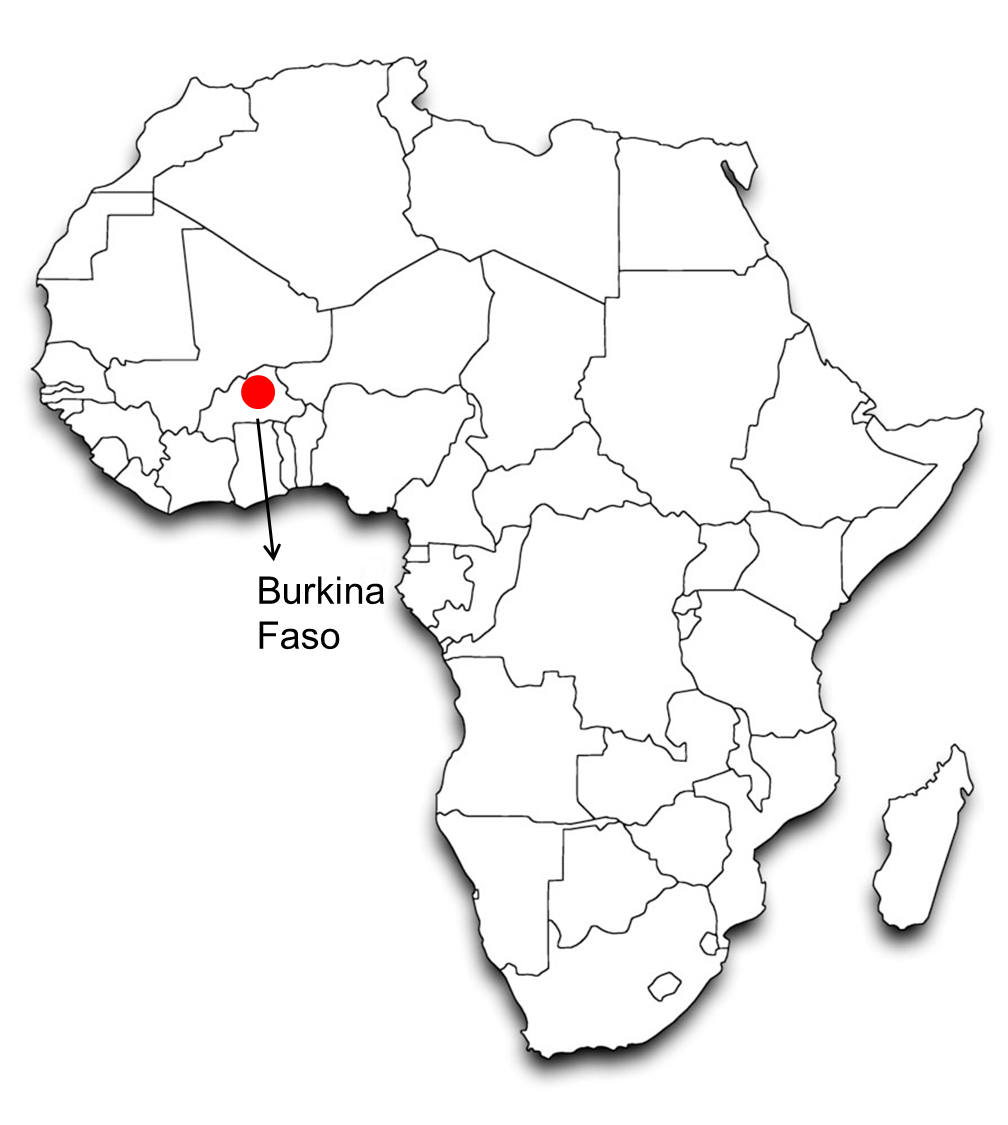 Map of Africa showing locations of field work