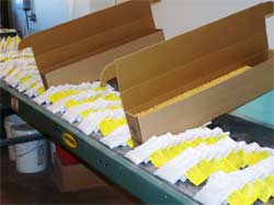 Samples being loaded in boxes