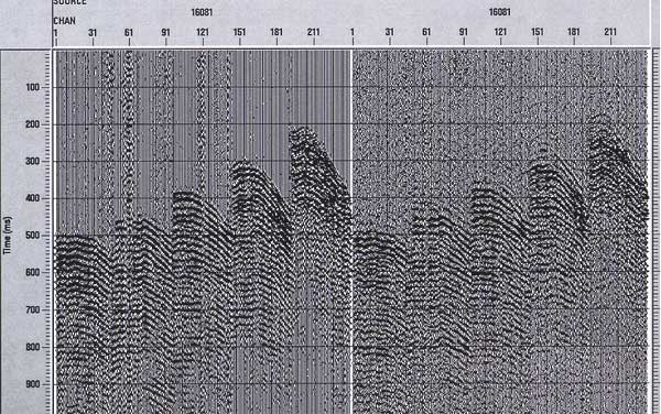 Two seismic displays; gather on right is original; on left is cleaner after phase filtering and spiking deconvolution.