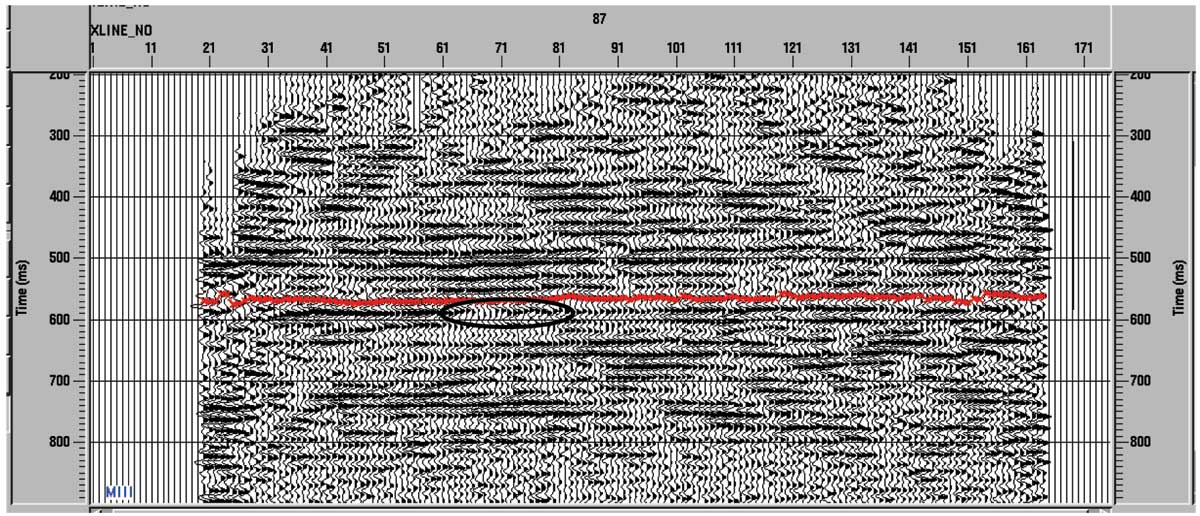 seismic data with small area highlighted