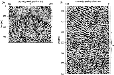 two sets of seismic data