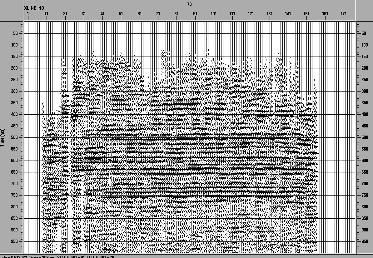stacked seismic section