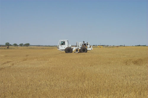 Vibroseis in field after wheat harvest